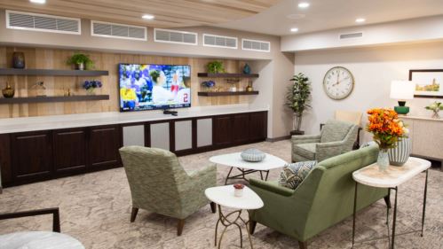 Riverwalk Estates TV Room