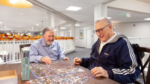 Men Putting Puzzle Together